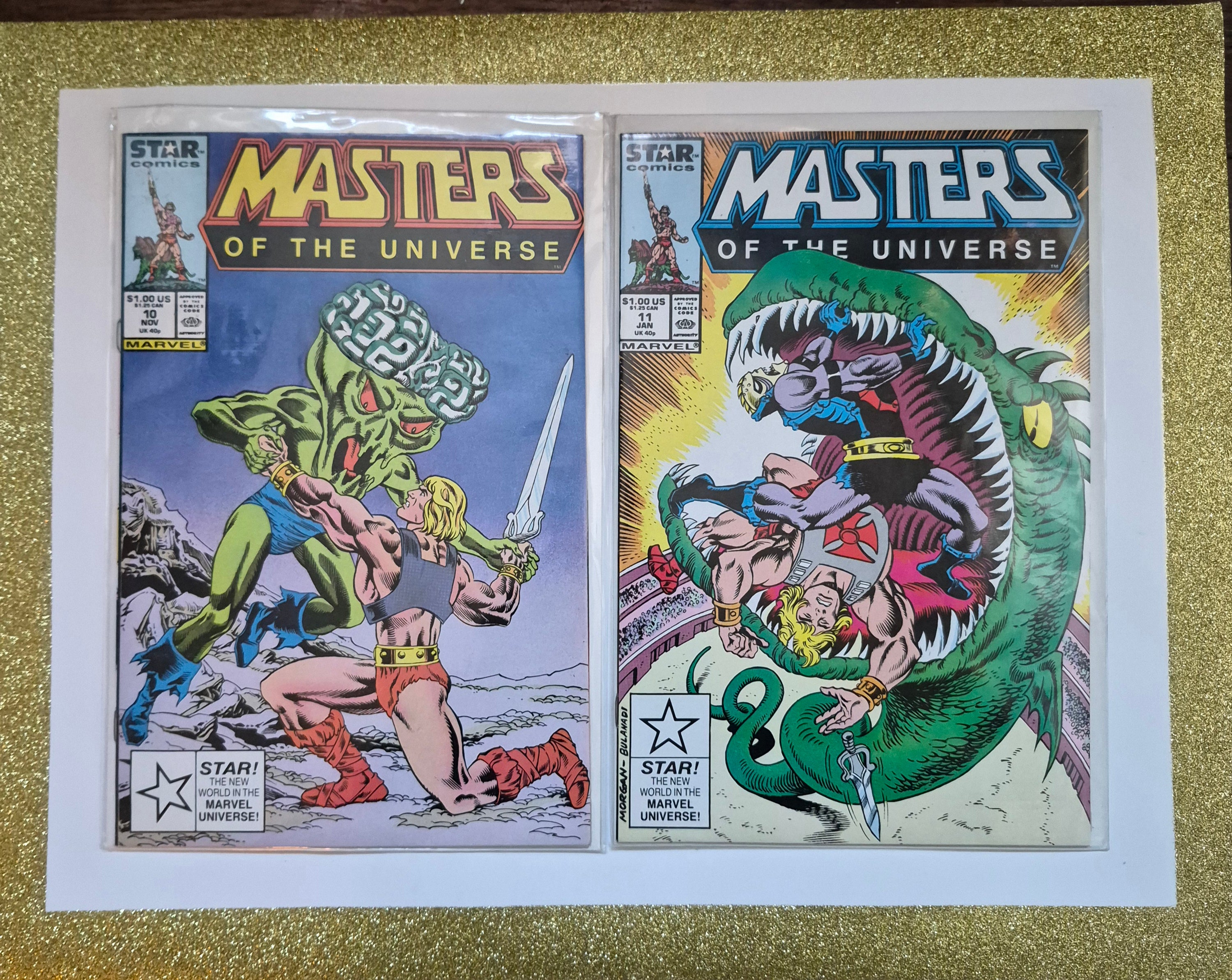 Masters of the Universe 10 & 11 Direct Edition