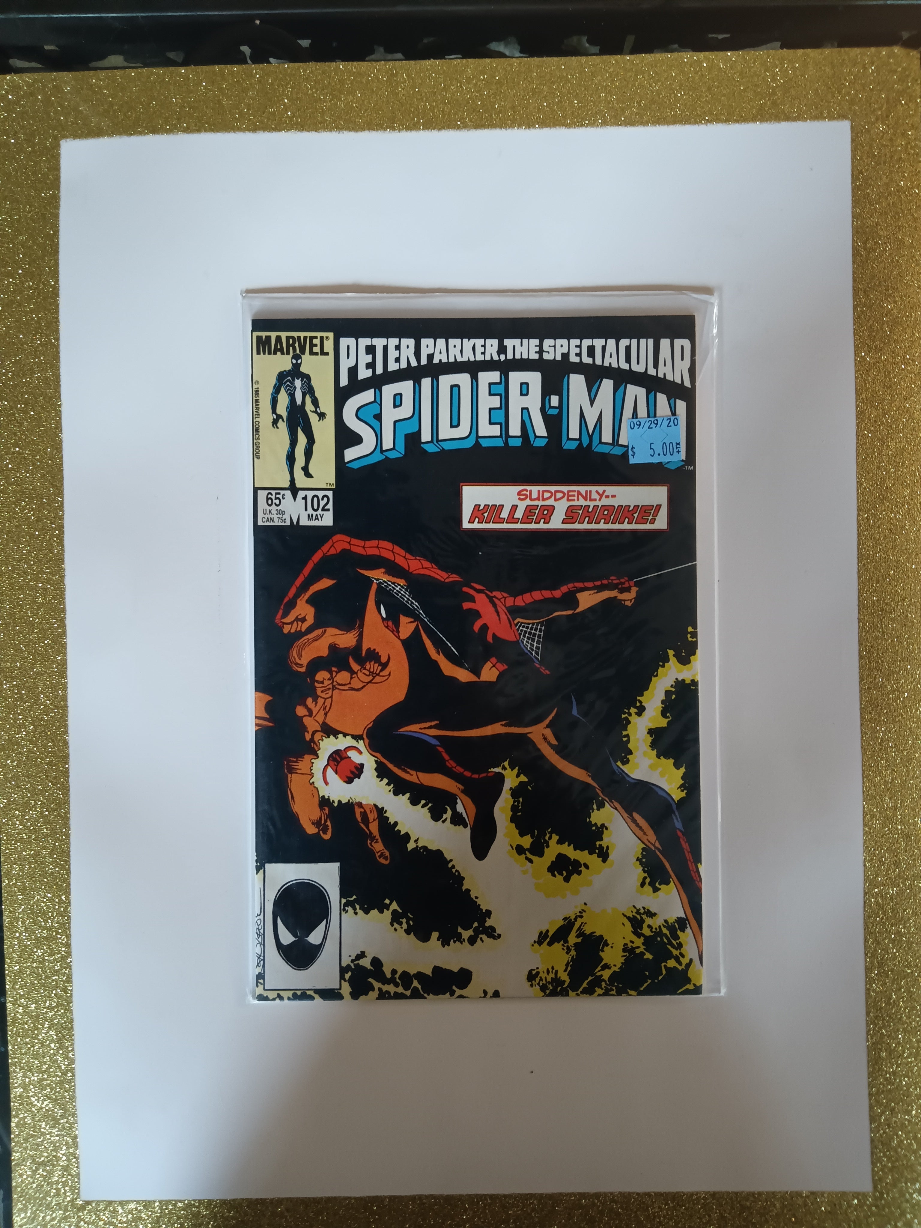 Peter Parker the Spectacular Spider-Man #102 Direct Edition Marvel Comic Book