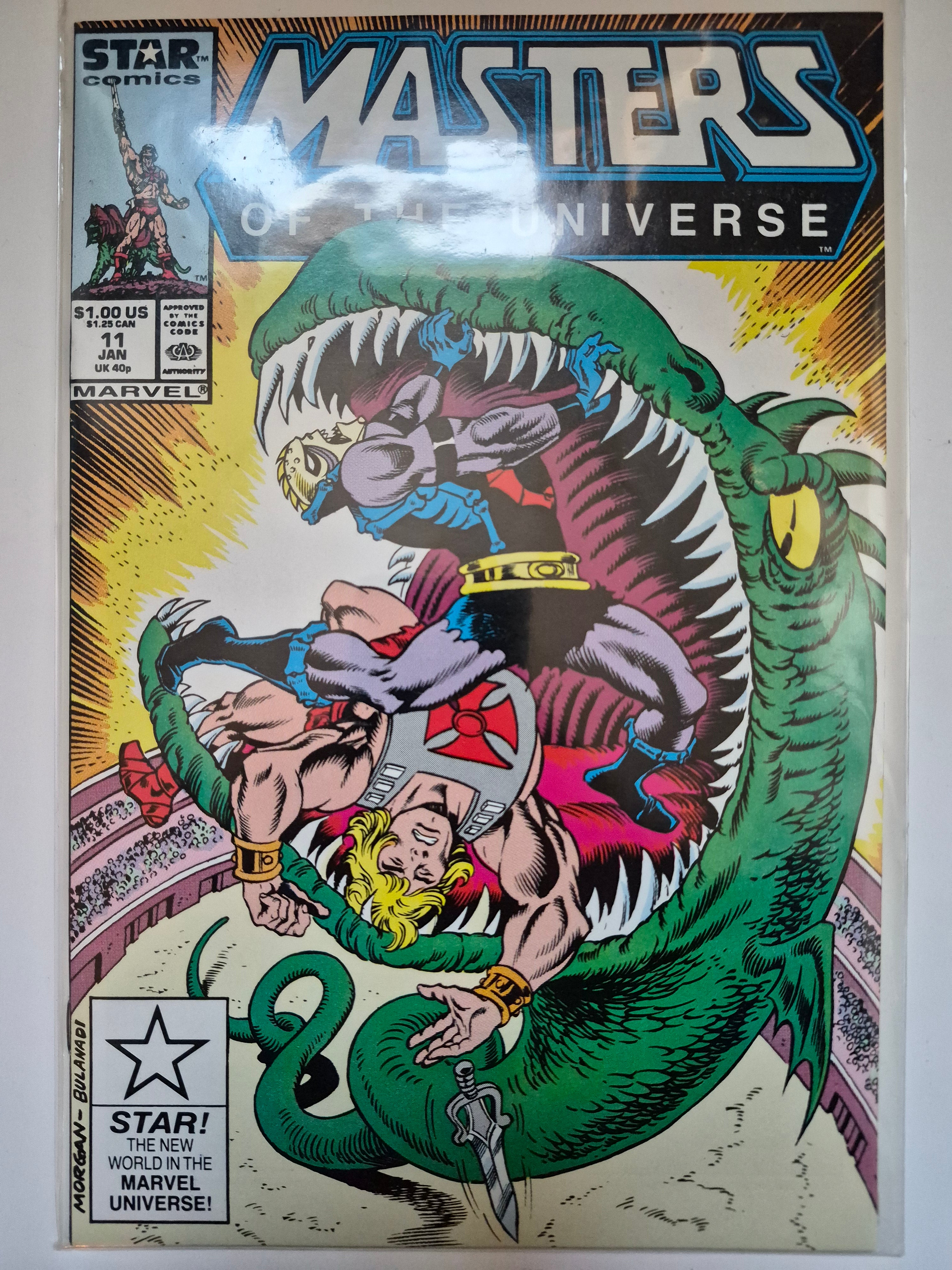 Masters of the Universe 10 & 11 Direct Edition
